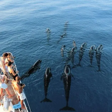 Quiet And Modern Near The French Border *