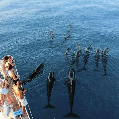 Quiet And Modern Near The French Border *